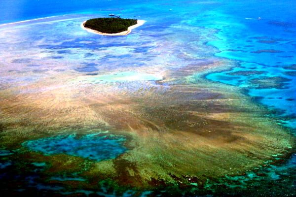 Koraljno more; foto: Abc.net.au Koraljno more; foto: Abc.net.au