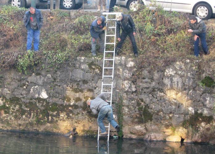 Spa&scaron;avanje &scaron;teneta iz Miljacke