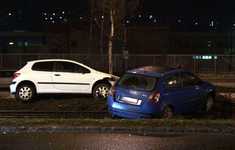 udes između grasa i otoke