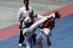taekwondo