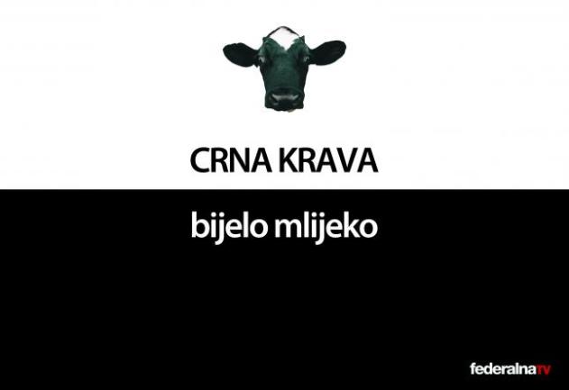 Crna krava bijelo mlijeko