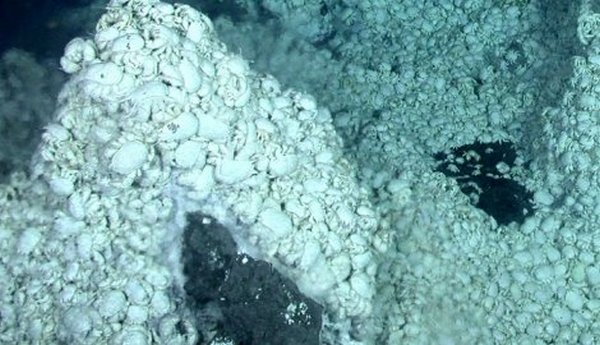 Britanski naučnici prona&scaron;li izgubljeni svijet ispod Antarktika