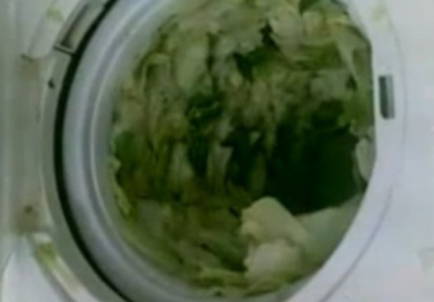 SALATA U MA&Scaron;INI ZA VE&Scaron;