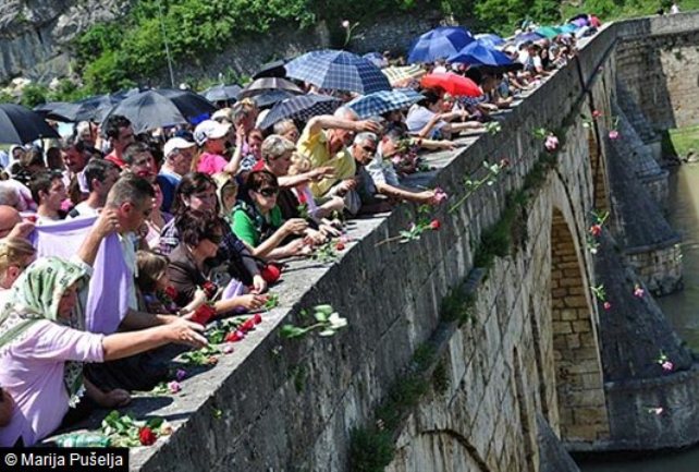 Vi&scaron;egrad ruže