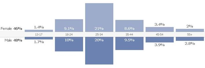 posjetioci decembar 2011_BLIN