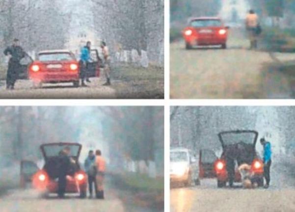 sinovi politicara srbija mucenje