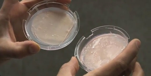 koža otporna na metke