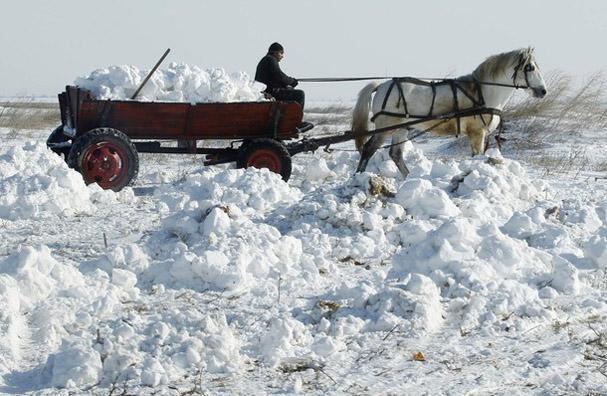 Ledeni talas odnio blizu 170 života