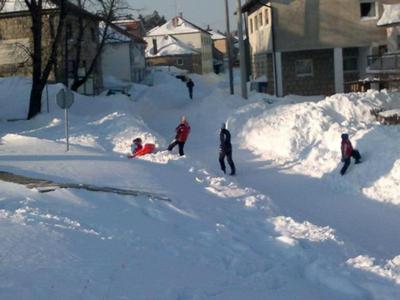Usljed uru&scaron;avanja krova stradale krave 