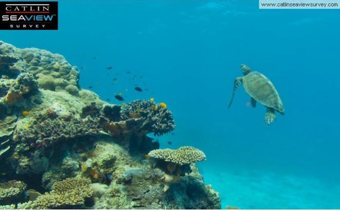 Veliki koralni greben