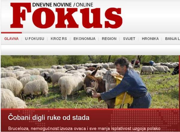 Novina Fokus