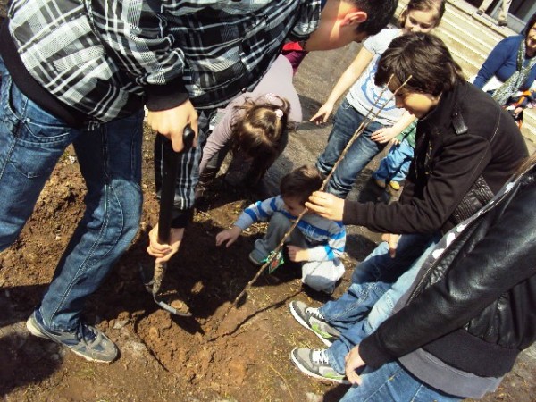 &Scaron;kolarci sade voćke