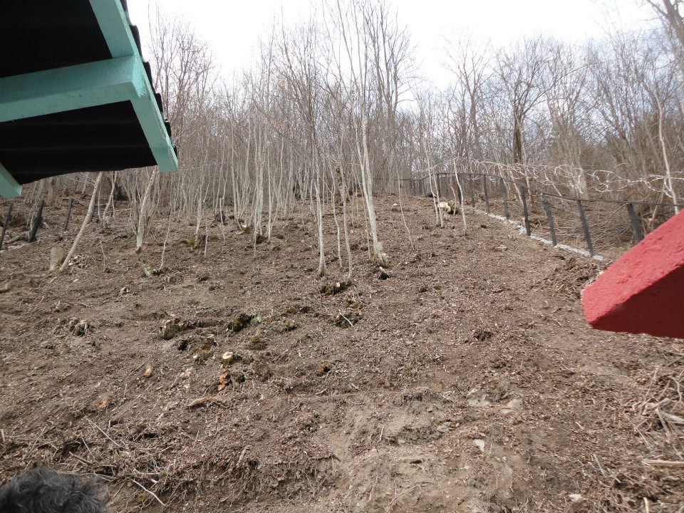 Prihvatilište za napuštene i izgubljene životinje Kantona Sarajevo Prihvatilište za napuštene i izgubljene životinje Kantona Sarajevo