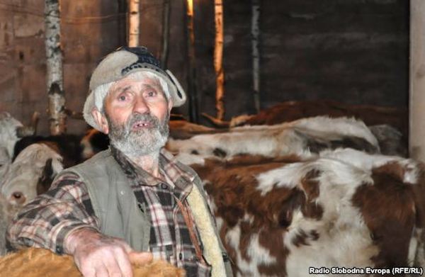 Murat Hodžić Murat Hodžić