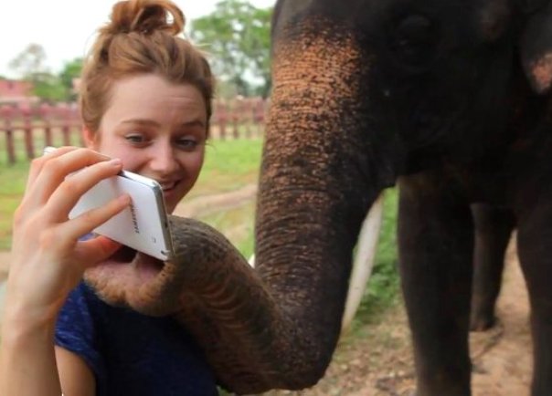 sloncic mobitel sloncic mobitel