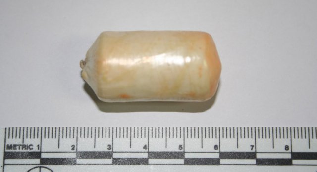 Vukovarac kokain progurao u Venecueli, a povratio ga pred policijom u Zagrebu