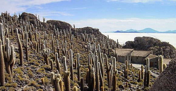 Jezero Salar de Uyuni u Boliviji
