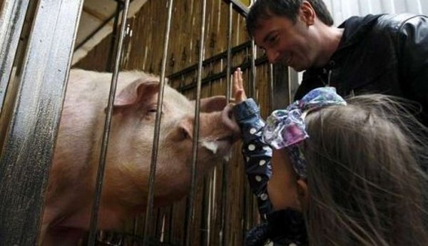 Večeras pobjeđuju Španija i Hrvatska Večeras pobjeđuju Španija i Hrvatska