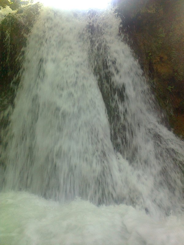 Šetnja stazama vodeničnih vampira Šetnja stazama vodeničnih vampira