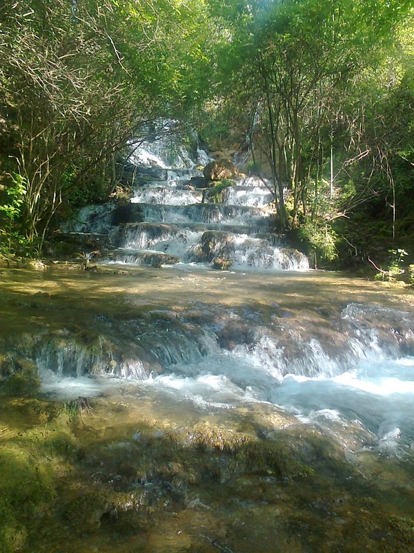 Šetnja stazama vodeničnih vampira Šetnja stazama vodeničnih vampira