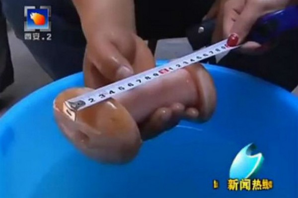 Novinari od umjetne vagine pomislili da je magična glljiva