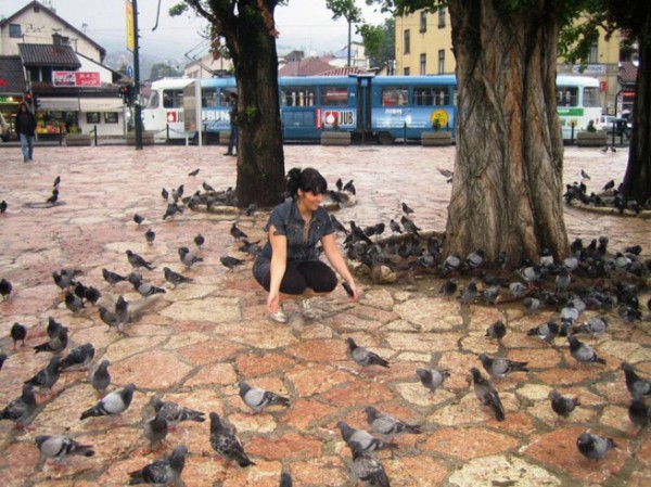 natasa gacic3 natasa gacic3