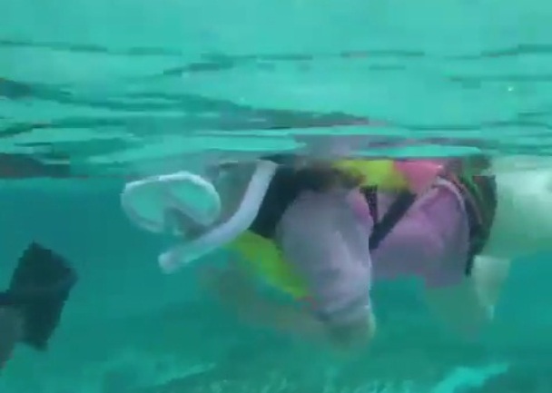 djevojčica pliva s morskim psima