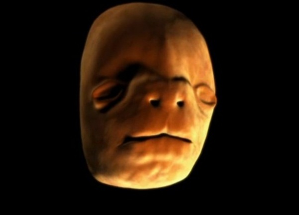 formiranje čovječijeg lica