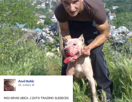 momak iz Podgorice koji muči pse momak iz Podgorice koji muči pse