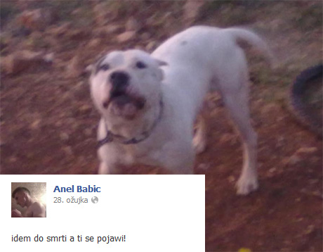 momak iz Podgorice koji muči pse momak iz Podgorice koji muči pse