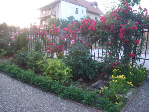 Kemala Sarajlić-Gornja Breka 67 Kemala Sarajlić-Gornja Breka 67