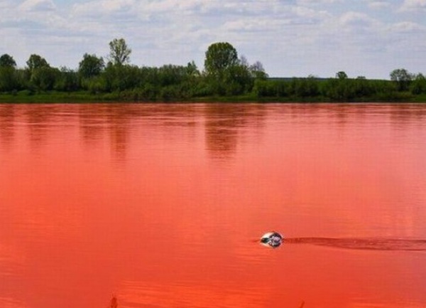 Azovsko more - crveno Azovsko more - crveno