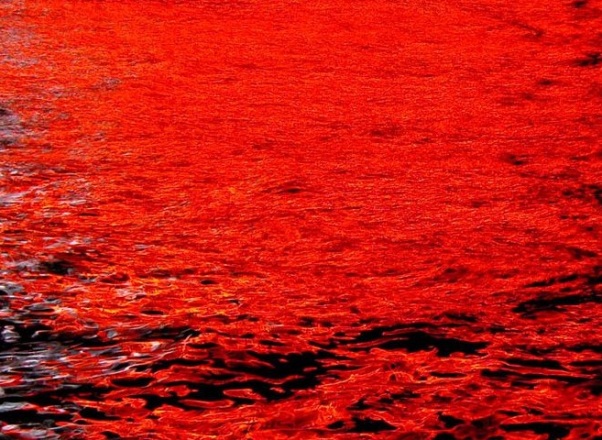 Azovsko more - crveno Azovsko more - crveno