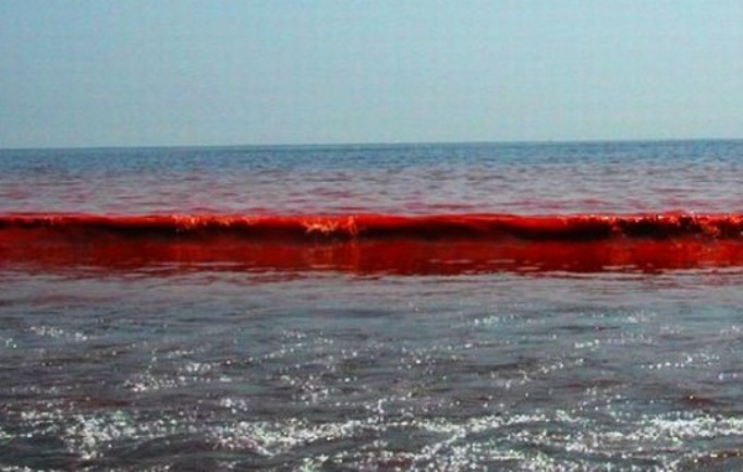 Azovsko more - crveno