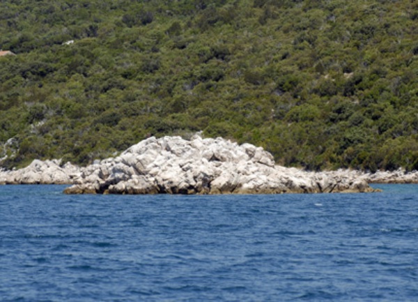 Mali &scaron;koj kod Kleka