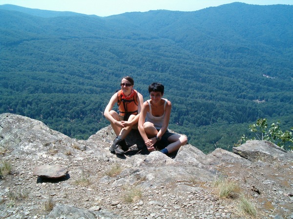 Jastrebac u šumskom džemperu Jastrebac u šumskom džemperu