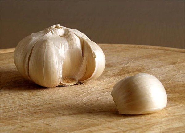 Recepti s bijelim lukom