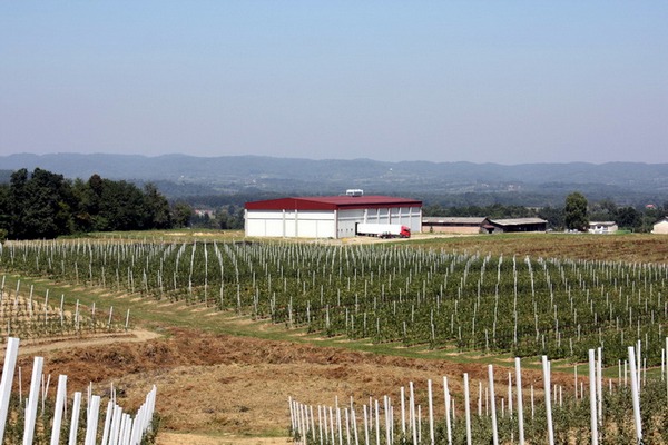 Tata i sin Dodik Tata i sin Dodik