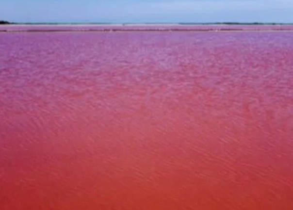 Jezero promijenilo boju u krvavo crvenu Jezero promijenilo boju u krvavo crvenu