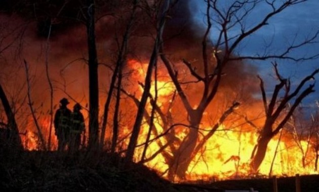 Požar - 2012 Požar - 2012