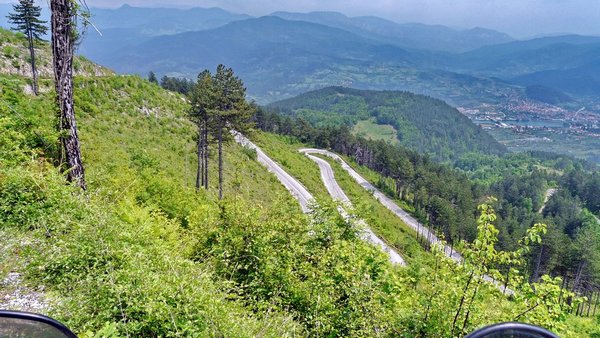 rogatičke smrče rogatičke smrče