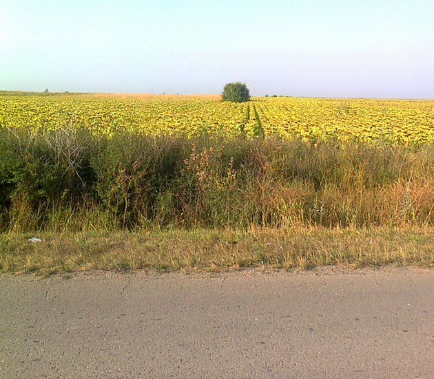OD BEOGRADA DO IRIGA