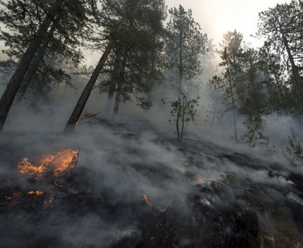 Kritično na Tari Kritično na Tari