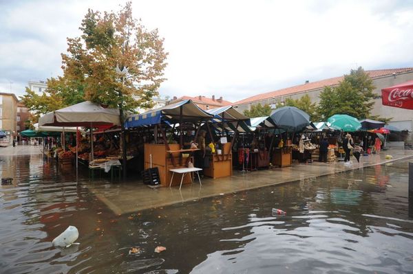 HAOS U ZADRU HAOS U ZADRU