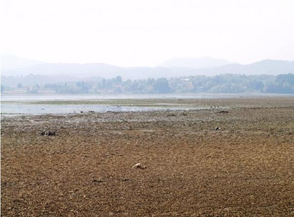 jezero modrac - su&scaron;a