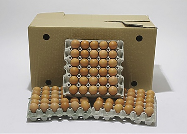 kartoni za jaja