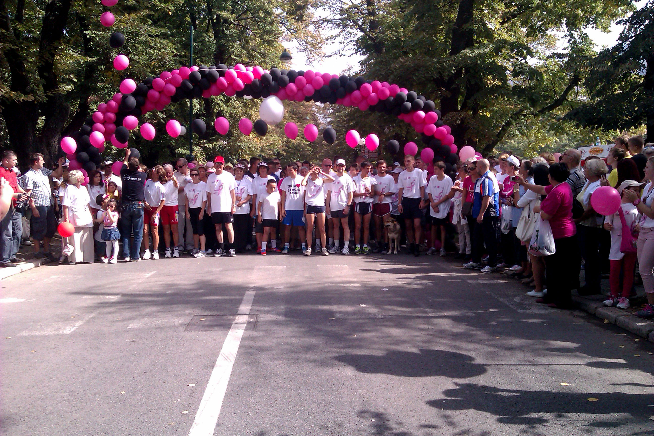 Race for the cure 2012 u Sarajevu Race for the cure 2012 u Sarajevu