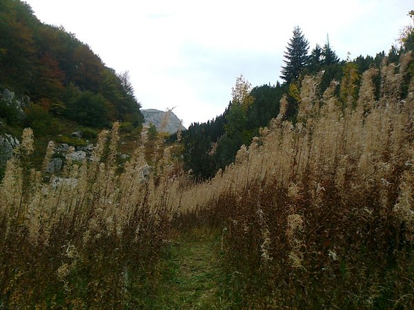 Praznik ljepote na Jahorini i Treskavici