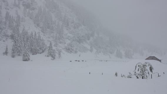 Snijeg u oktobru - Salzburg