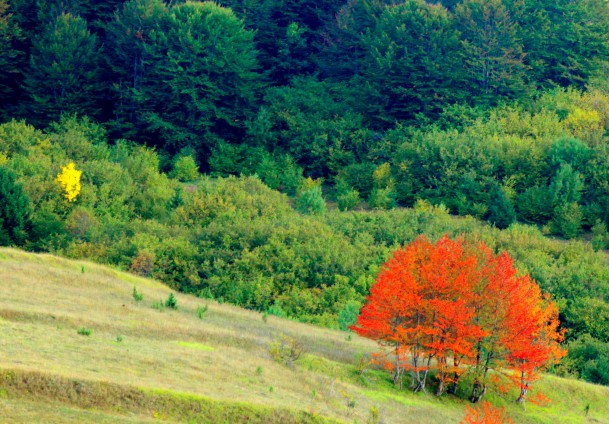 Jesen na Bjelašnici / Foto: Anadolija Jesen na Bjelašnici / Foto: Anadolija